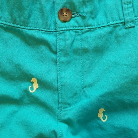 Old Navy Turquoise Seahorse Embroidered Shorts - Picture 2 of 6